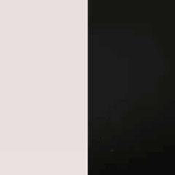 黑与白,探寻色彩哲学的奥秘