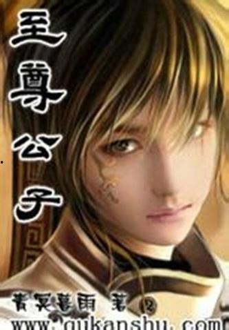 至尊公子,传奇人生，权谋天下
