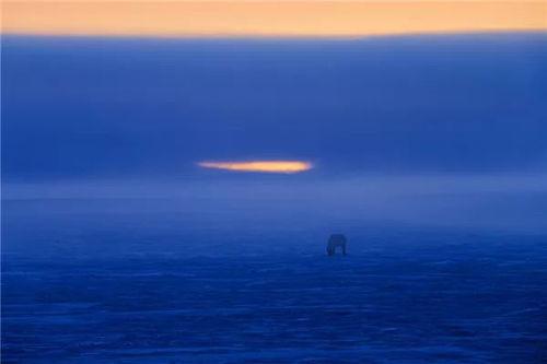 黎明的一切,探寻新生的奥秘与希望