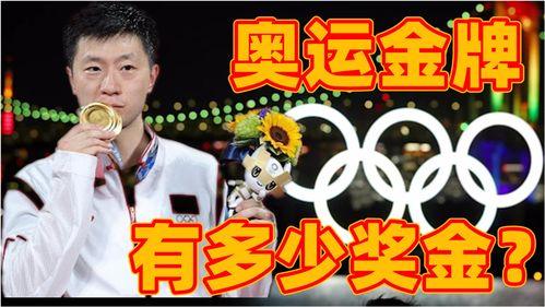 金牌得主,揭秘冠军背后的奋斗与汗水